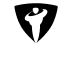 לוגו רב בריח
